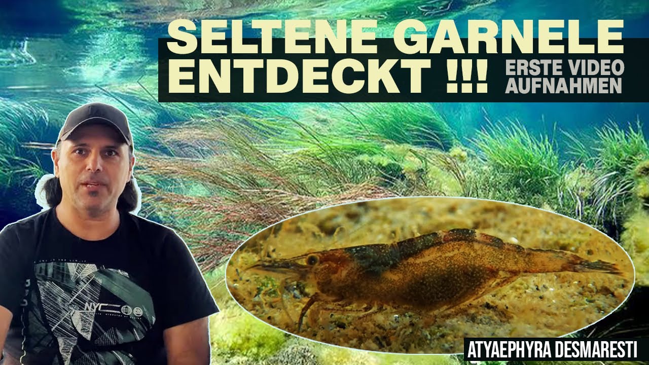 NatureHolic Expedition Vol. 2 - Bosnien und Herzegowina