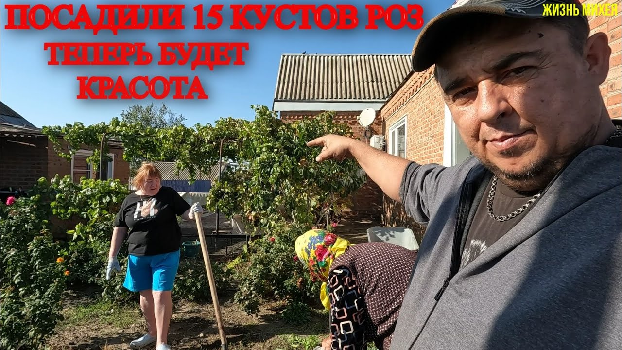 КУПИЛИ 15 КУСТОВ РОЗ, ТЕПЕРЬ БУДЕТ КРАСОТА / РЕМОНТ МАШИНЫ / КАКОЕ СМУЗИ ВКУСНЕЕ / ВСЁ ПРО НАЧЕНКУ /