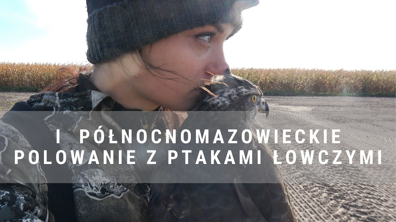 DIANA BYC 2/2026  I północnomazowieckie łowy z ptakami łowczymi