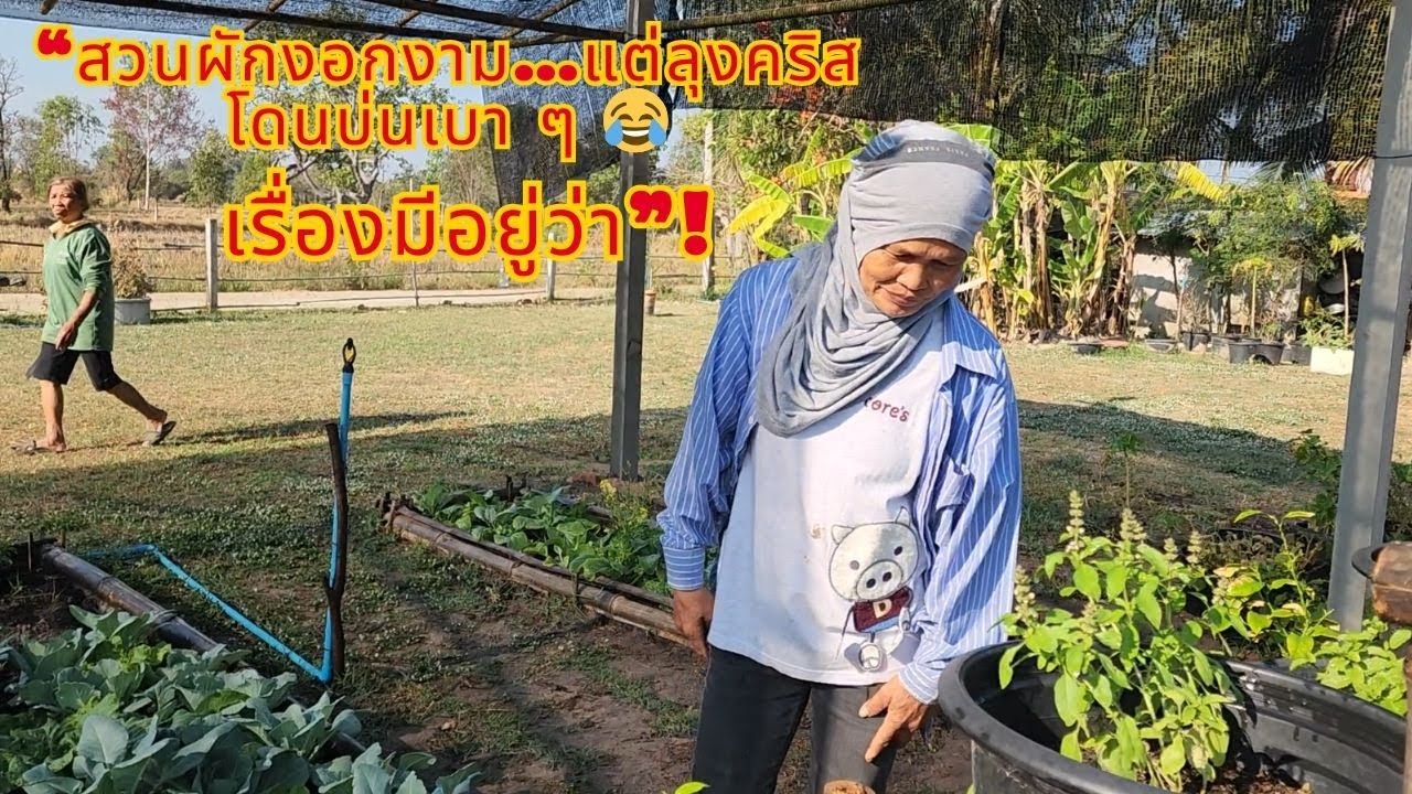 “อัปเดตสวนผักวันนี้—ลุงคริสโดนป้าบ่นเรื่องอะไรน้า 😅”
