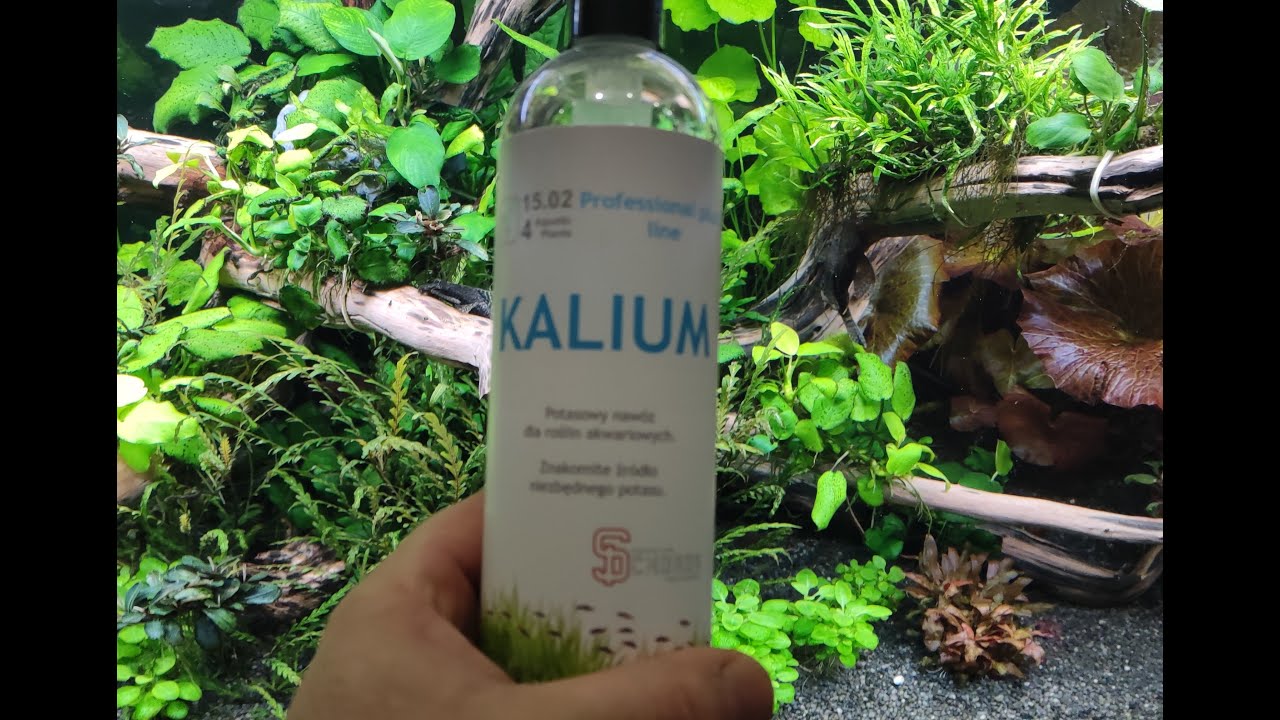 POTAS W AKWARIUM - CZY TRZEBA PODAWAC - CZY JEST NIE ZBEDNY -CZY WODA KRANOWA MA POTAS