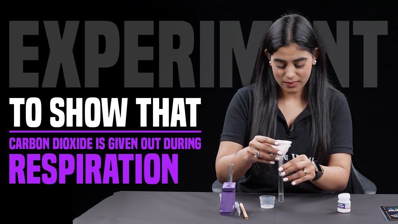 Experiment to show that Carbon Dioxide is given out during Respiration....
