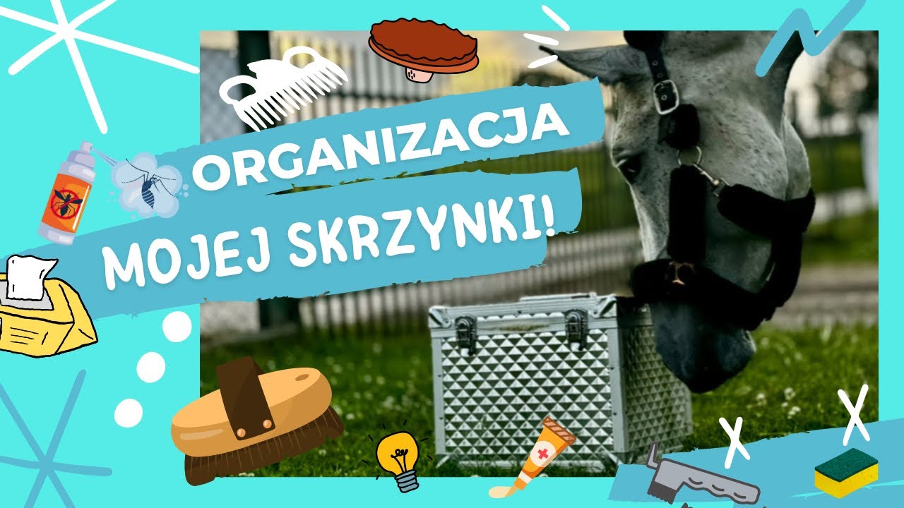 ORGANIZACJA MOJEJ SKRZYNKI JEŹDZIECKIEJ !🐴✅ #horse #konie #equestrian #stajnia #stable