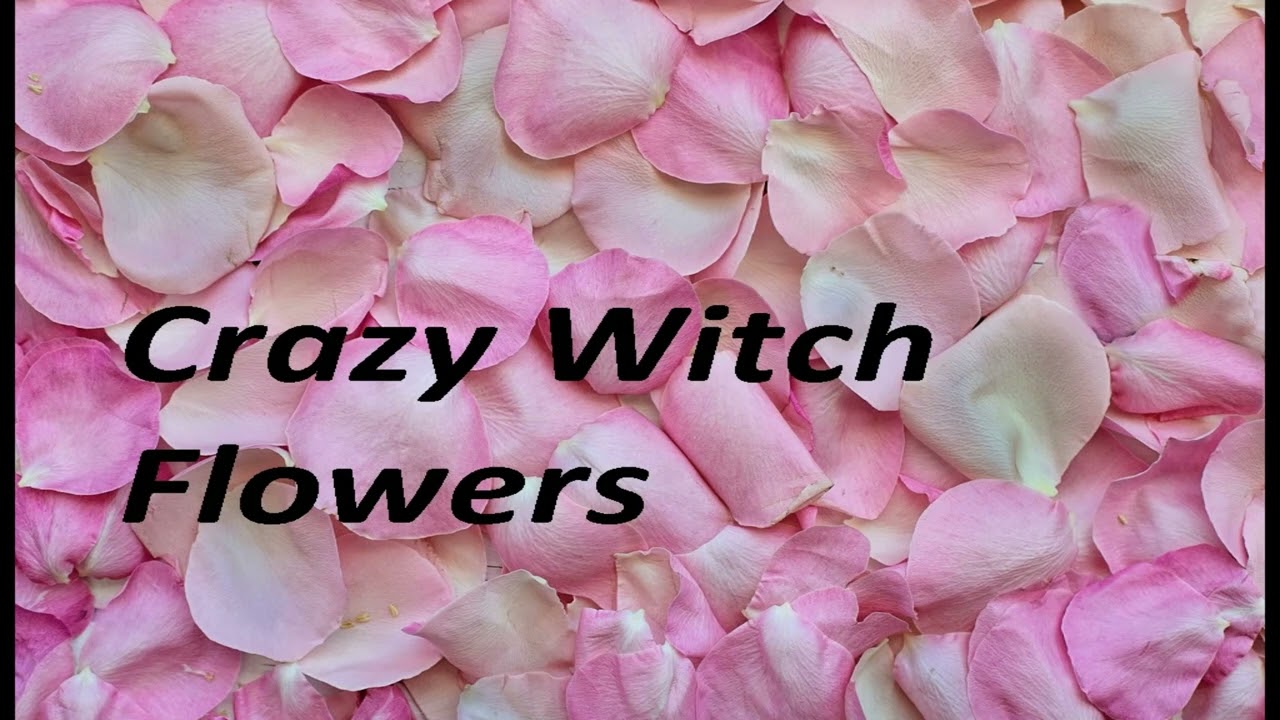 Crazy Witch - Flowers