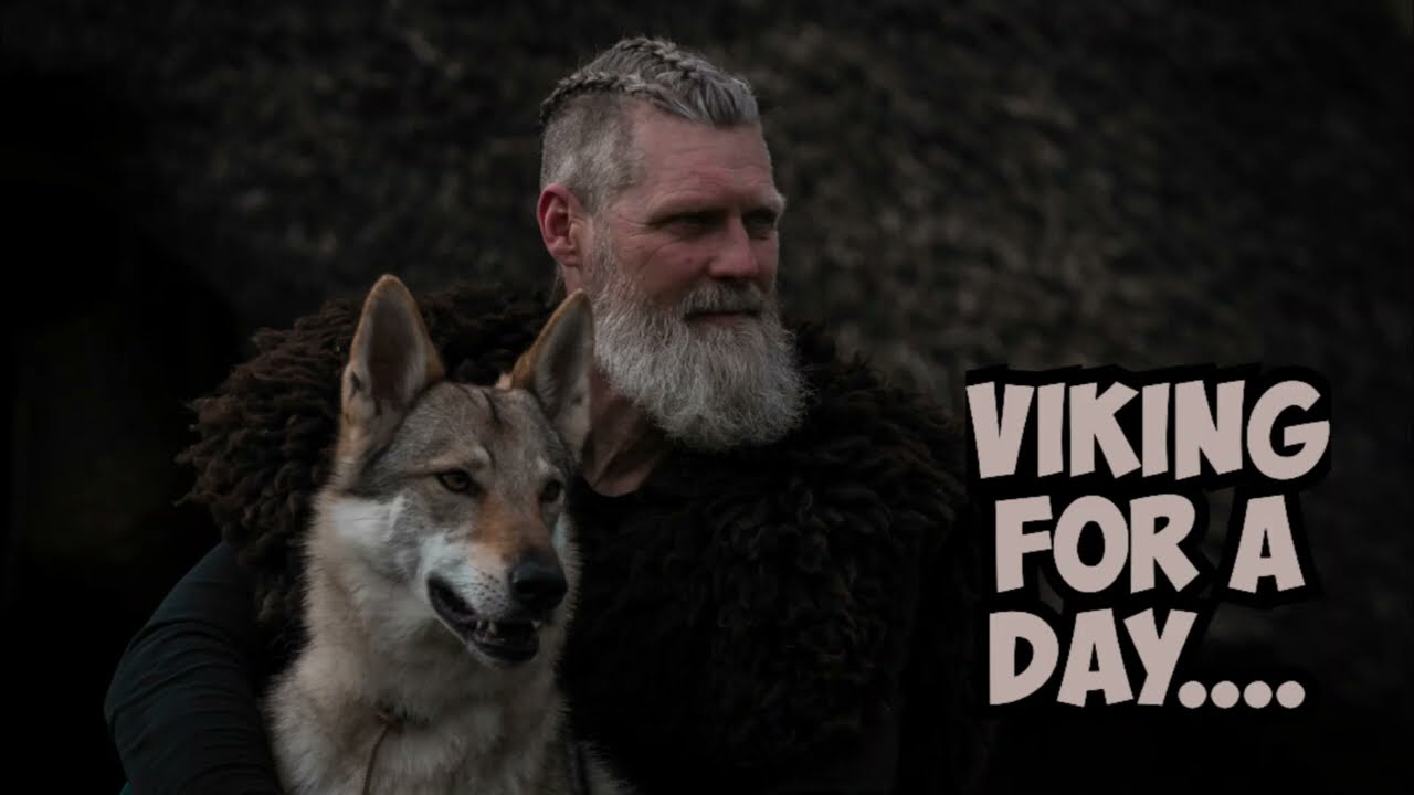 Our dogs go to a viking photoshoot and will be viking dogs for a day....