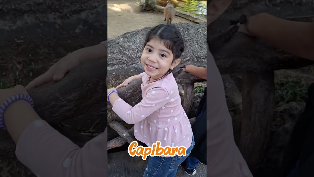 Aventura en el Zoológico Aurora en Guatemala ❤️ 