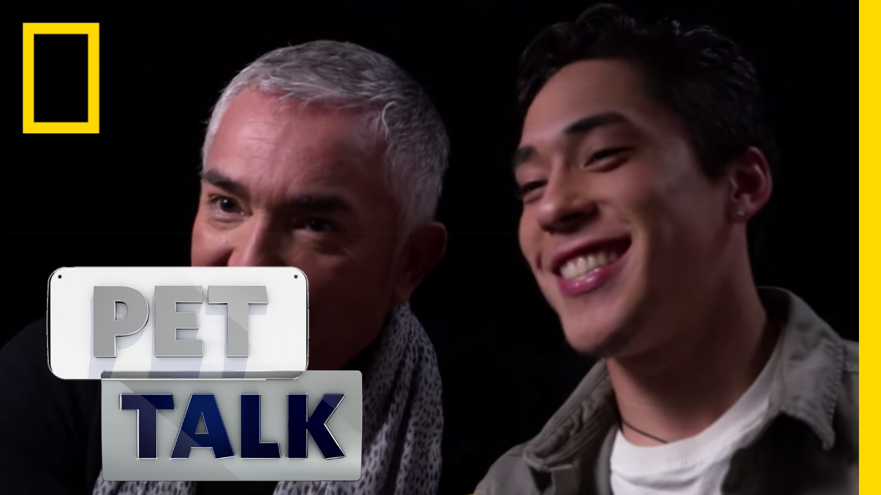 Like Father, Like Son | Pet Talk