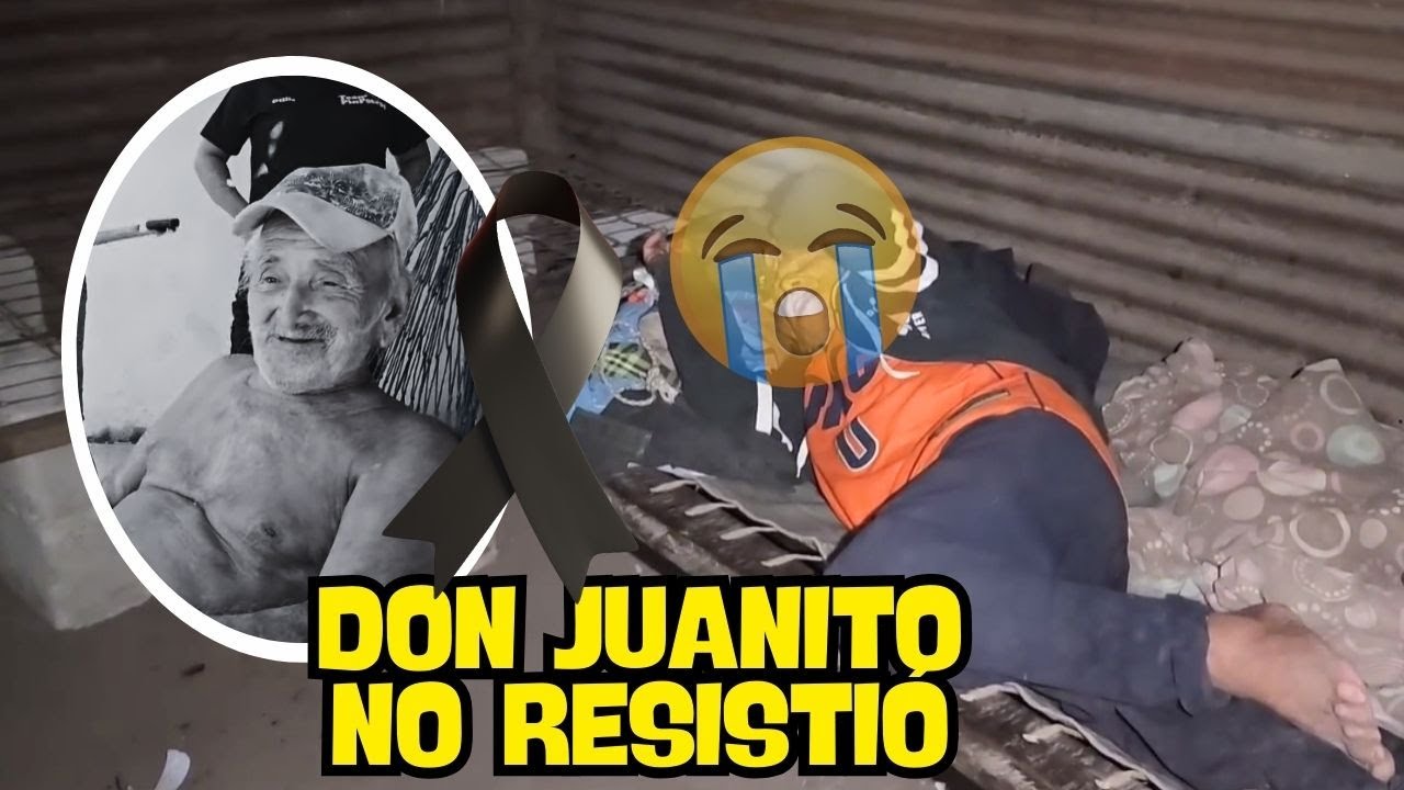 URGENTE😭🕊Así fue como Recibimos La Noticia! DON JUAN FUE PICADO POR 500 AVISPAS, No sobrevivió 
