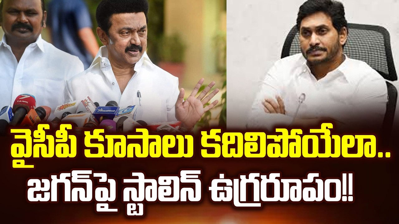స్టాలిన్ కామెంట్స్ తో వైసీపీ లో భూకంపం | Stalin On YS Jagan | TVK Vijay | Cloud Media