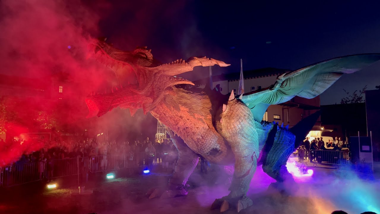 Further Drache am Oberpfalztag 2022 in Amberg