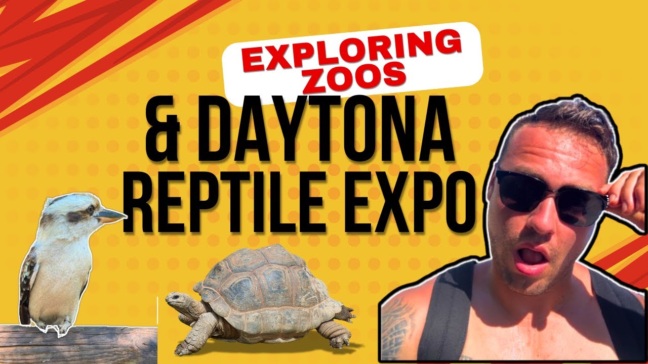 Daytona Reptile Expo + 3 Zoo's !!!!