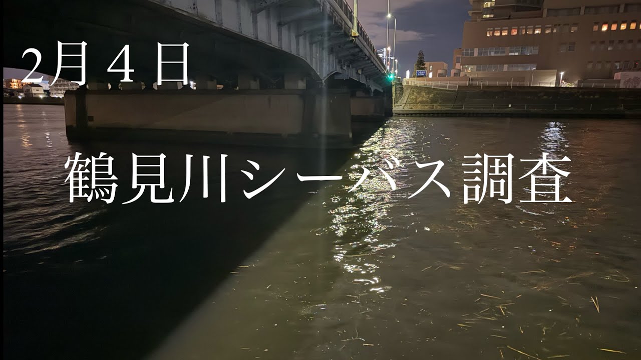【鶴見川】2月４日鶴見川シーバス調査