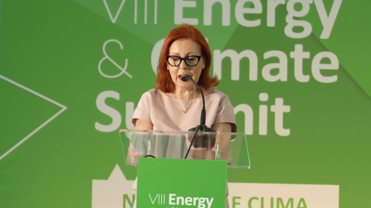 Highlight da abertura de Maria da Graça Carvalho - Ministra do Ambiente e Energia