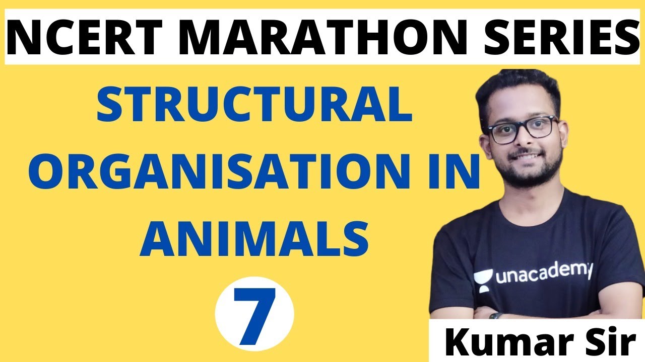 Structural Organisation In Animals | Class 11| NCERT Biology Marathon Series | Beat The NEET