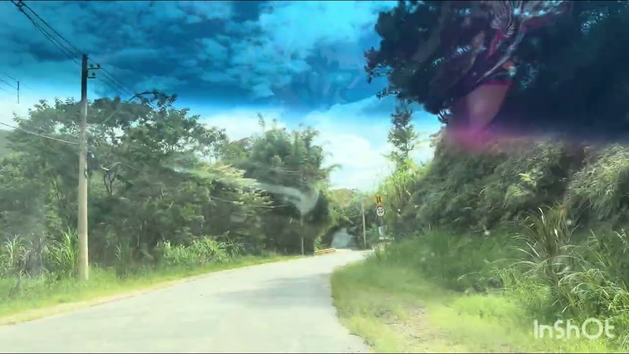 INDO VISITAR A MARGARIDA