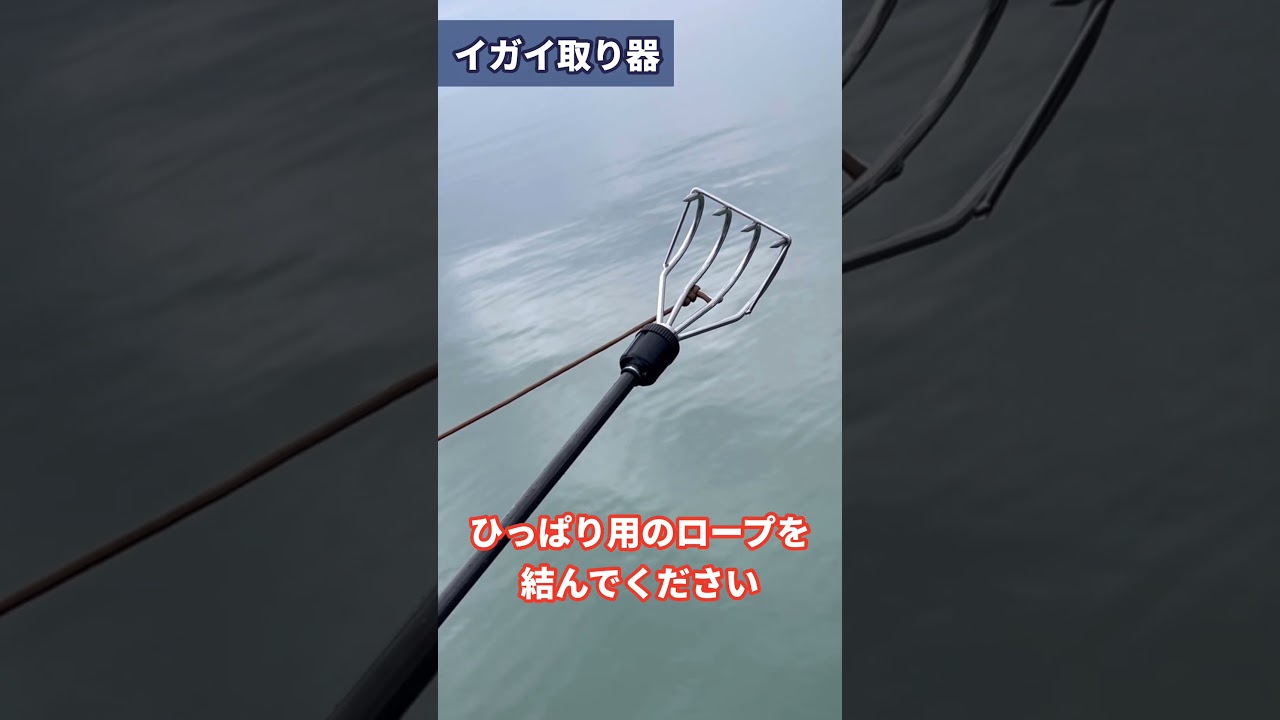 ベルモント【イガイ取り器】製品紹介