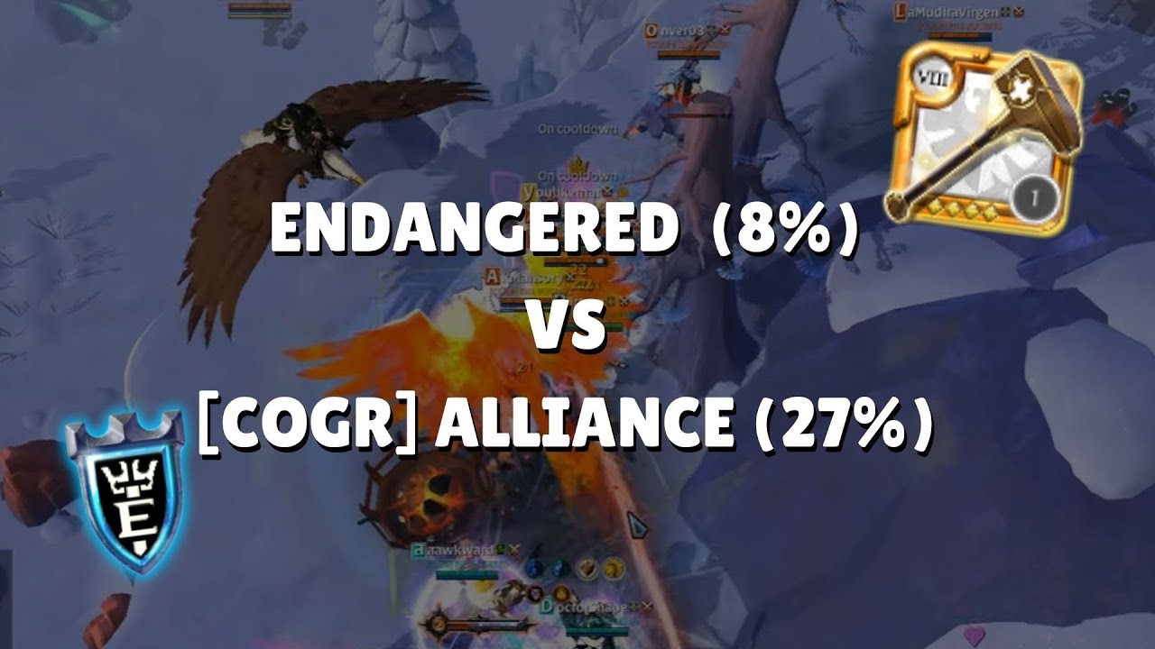 Альянс ENDANGERED против [COGR] | Мнение ведущего | Albion Online ZvZ
