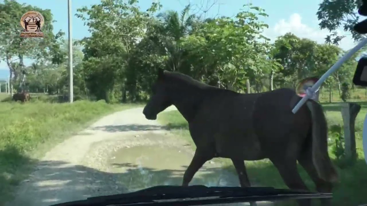 REDESCUBRIENDO MORALES  - ALDEA LA VIGÍA