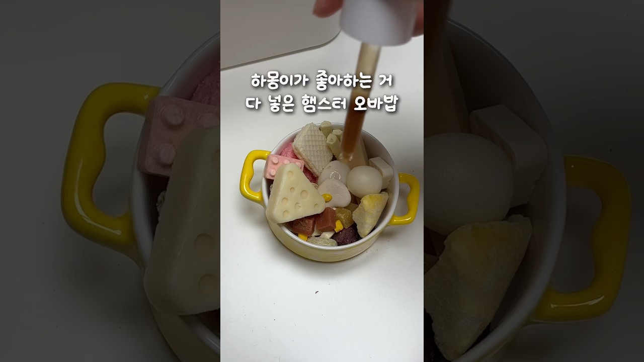 하몽이가 좋아하는 오바밥