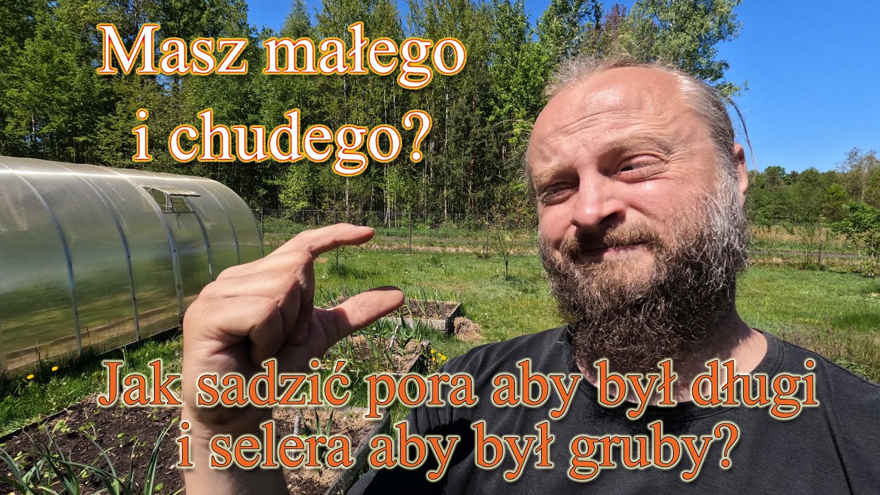 Masz małego i chudego? Jak sadzić pora by był długi i selera by był gruby? - Ogrodowe pierdamony 142