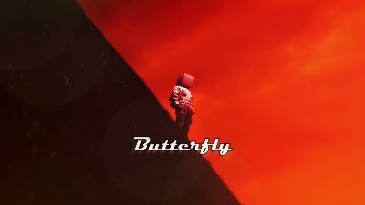 AFRO INSTRUMENTAL - BUTTERFLY - AFRO ☯ SHADOW