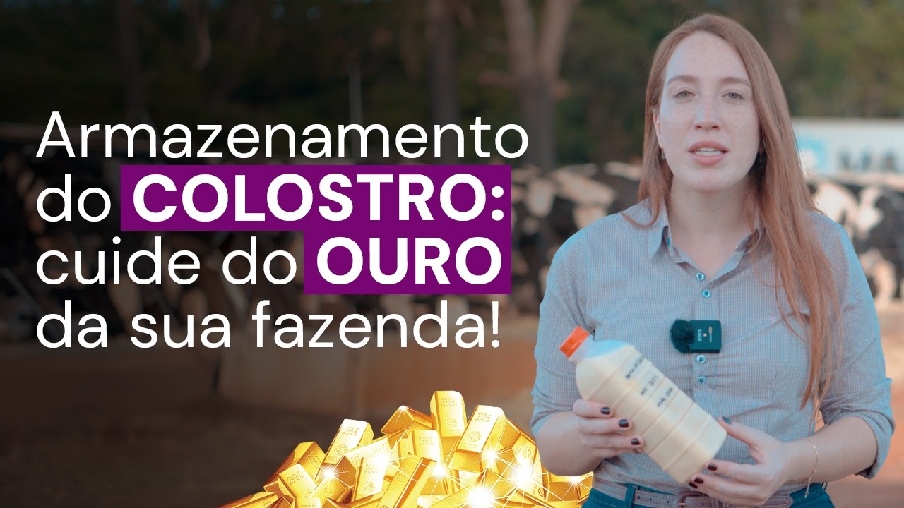 COLOSTRO na prática: como garantir IMUNIDADE e SOBREVIVÊNCIA das bezerras