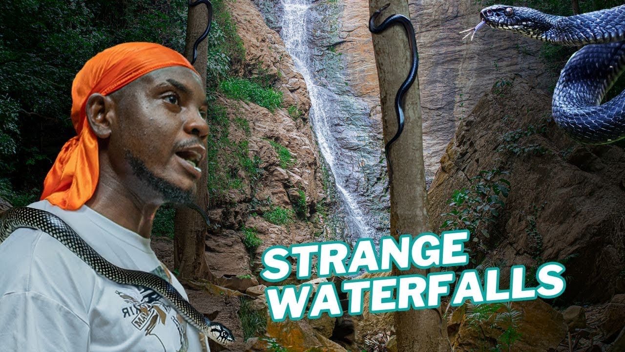 The Waterfalls with Black Friendly Snakes in Ghana - Shocking
