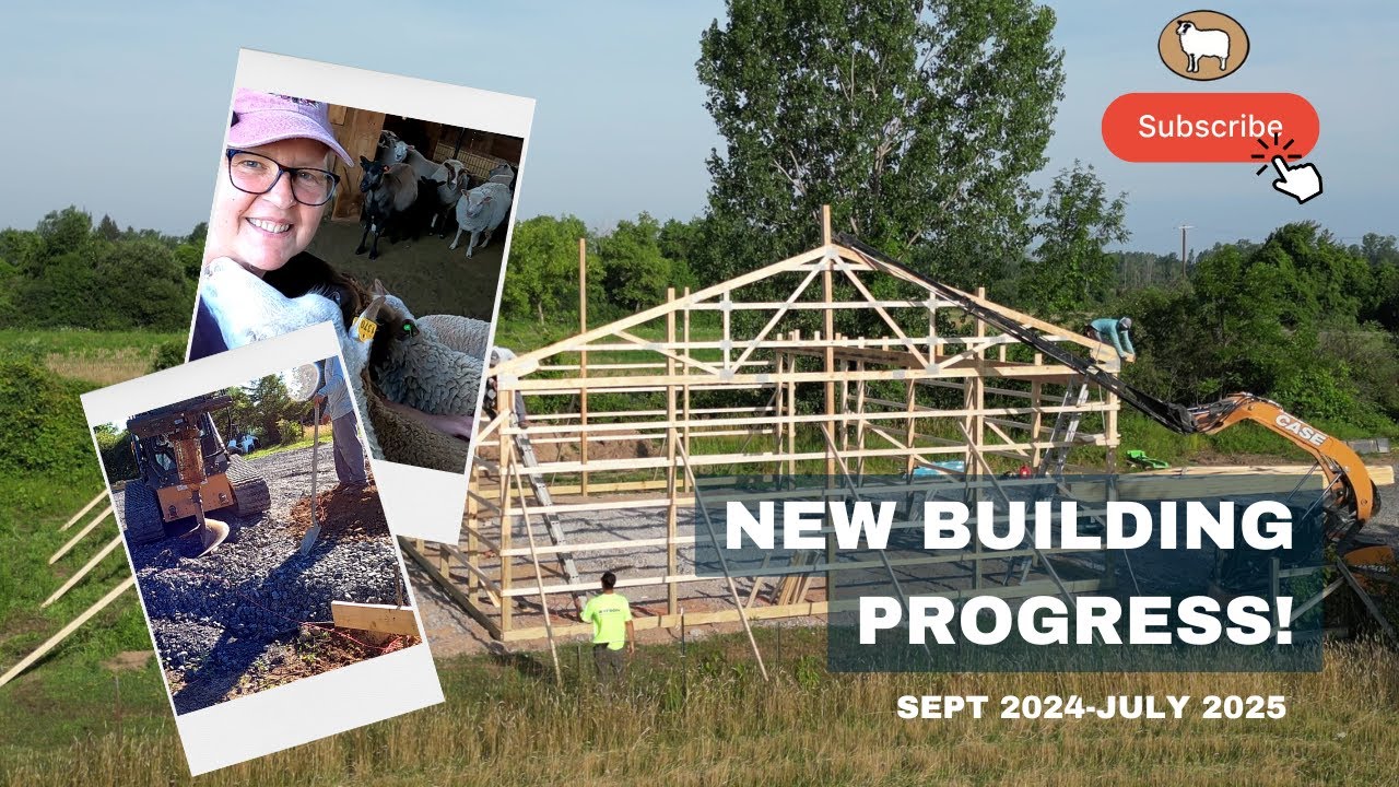 Our Dream Farm Space Is Taking Shape | Sept to July Progress