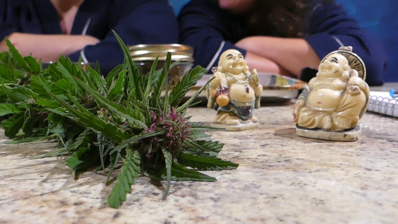 Dragon Lungz: The Cannabis Couple Chats About BC God Bud Harvest S1 Ep 15
