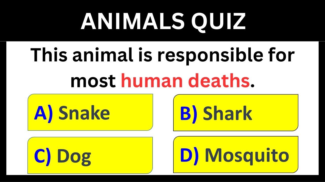 Amazing Animal Quiz | Animal GK Questions in English for All