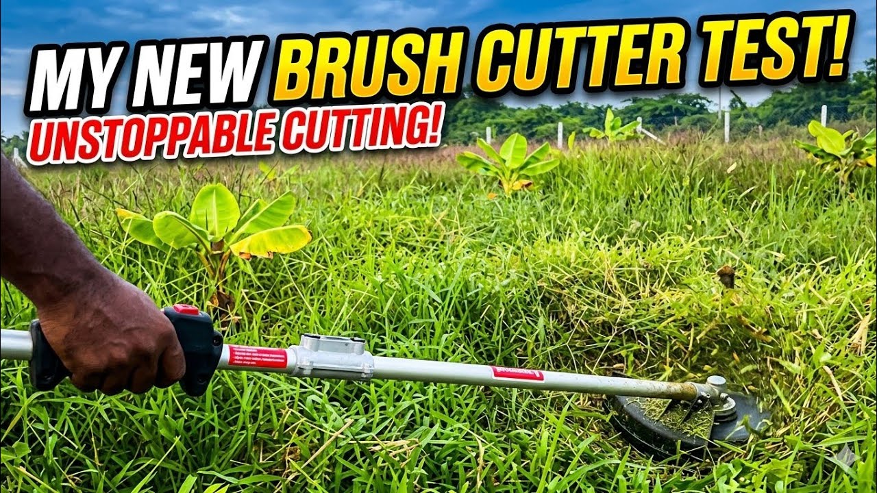 Brush Cutter Test 2