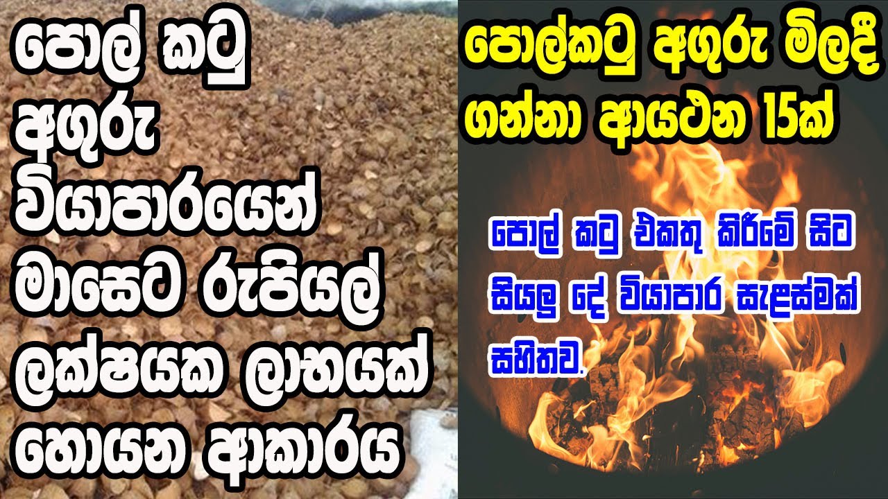 පොල් කටු අගුරු වියාපාරය I Coconut shell charcoal Business I #pol katu aguru business I #Business