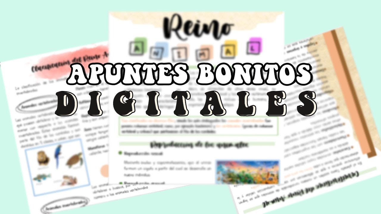 ✔️💻Cómo hacer APUNTES BONITOS en WORD