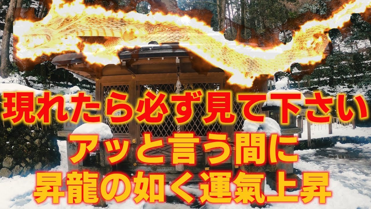 現れたら必見❗️龍神様の御神徳を頂いて下さい※あなたの運氣が昇龍の如く上昇します｜貴船神社奥宮遠隔参拝243