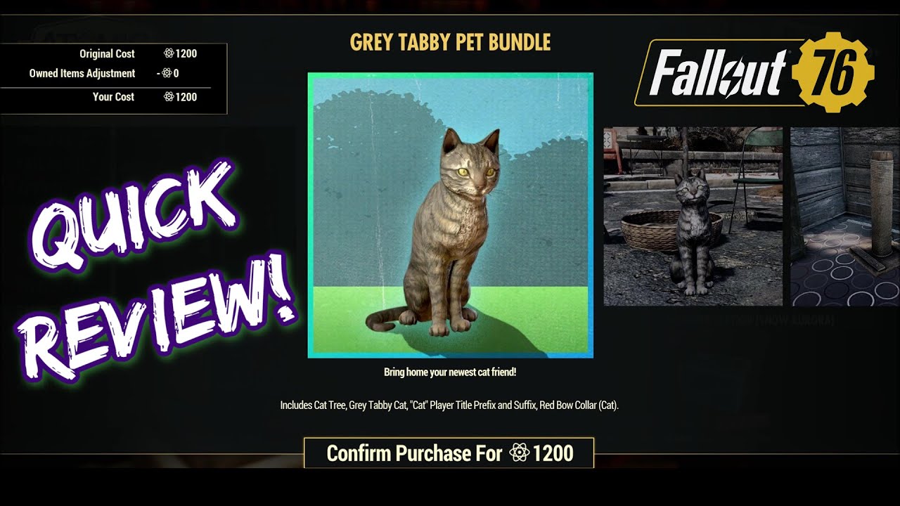 Fallout 76: Grey Tabby Pet Bundle Review - Worth Getting?