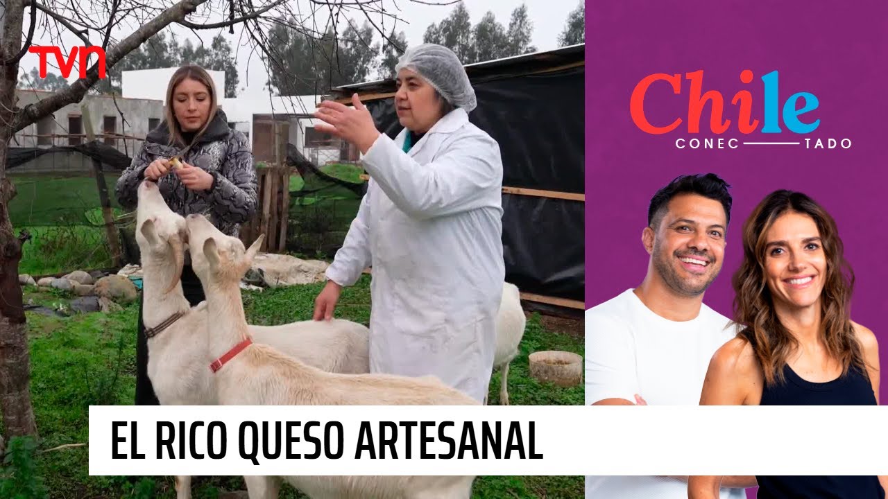 Chile Conectado: El único e inigualable sabor del queso artesanal | Chile Conectado