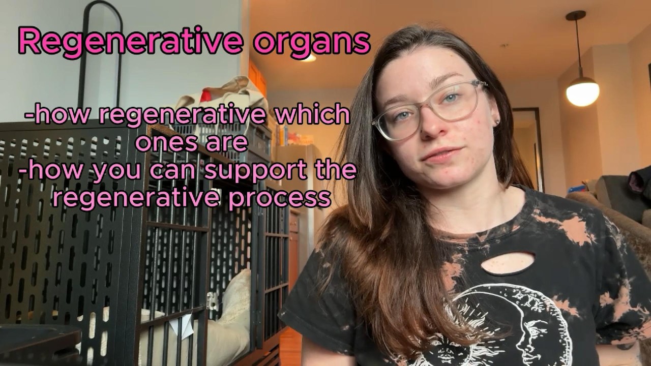 Which Organs Regenerate? The Science You Should Know