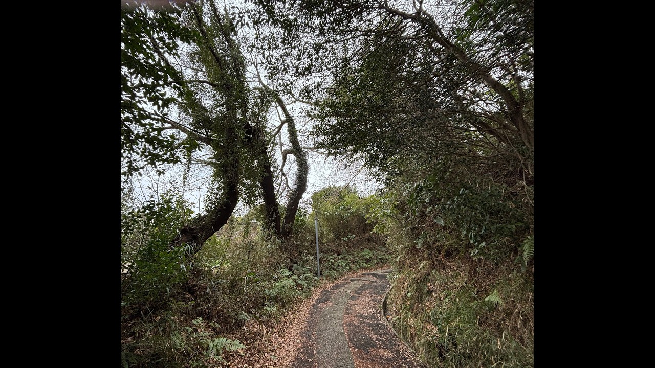 JAPAN; Tsukiyama Park