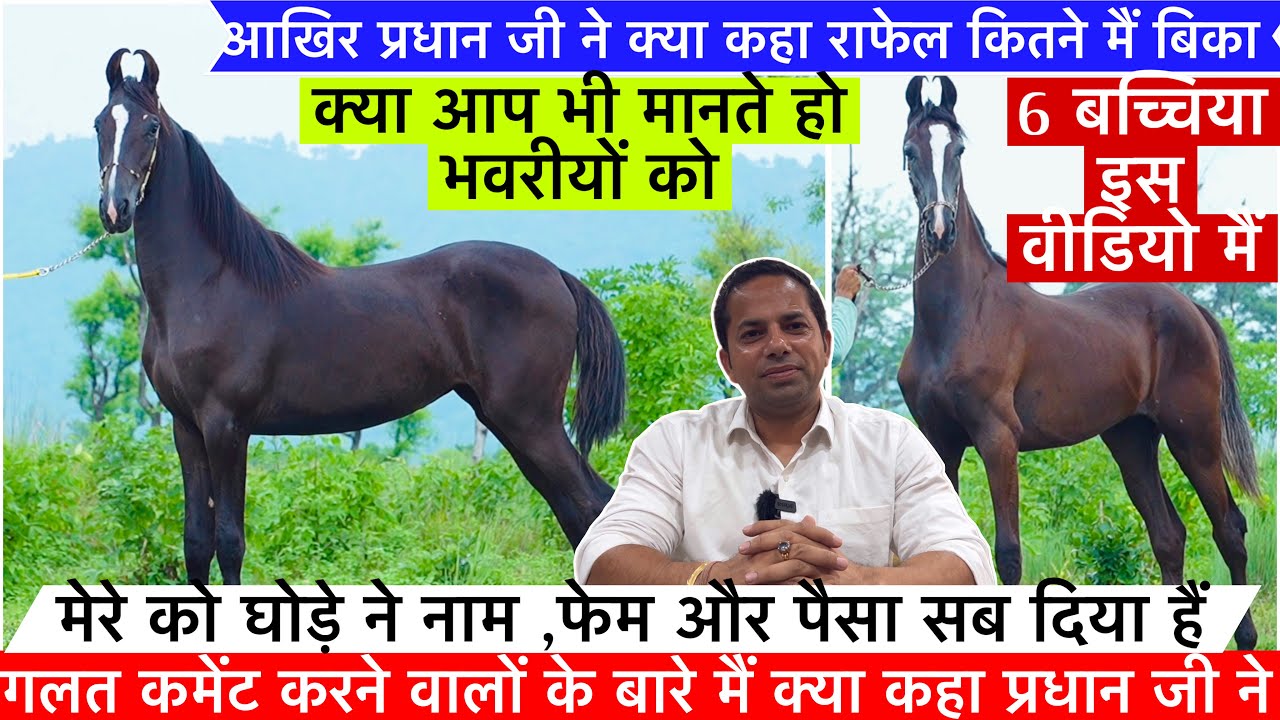 आखिर प्रधान जी ने क्या कहा राफेल की डील के बारे मैं प्रधान जी के फार्म की 6 बच्चियां वीडियो मैं !