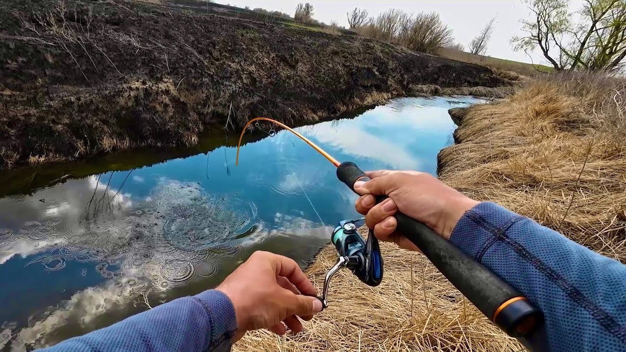 ЖЕСТЬ! ЭТОТ РУЧЕЙ МОЖНО ПЕРЕПРЫГНУТЬ! РЫБЫ НАВАЛОМ