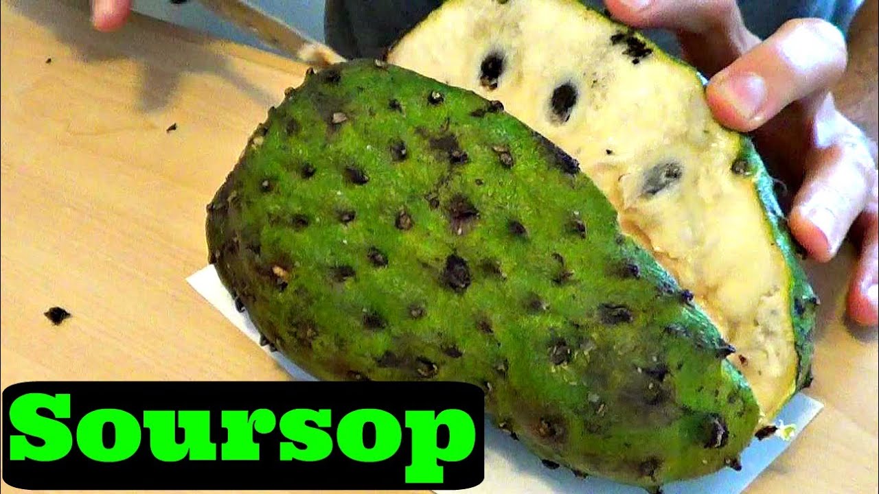 Soursop Review - Weird Fruit Explorer in Malaysia - Ep. 94
