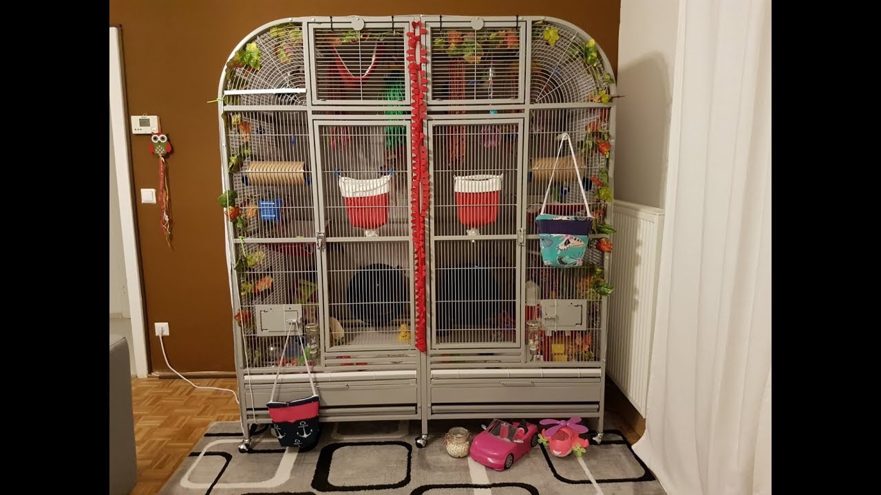 Sugar Glider Cage Tour 2017