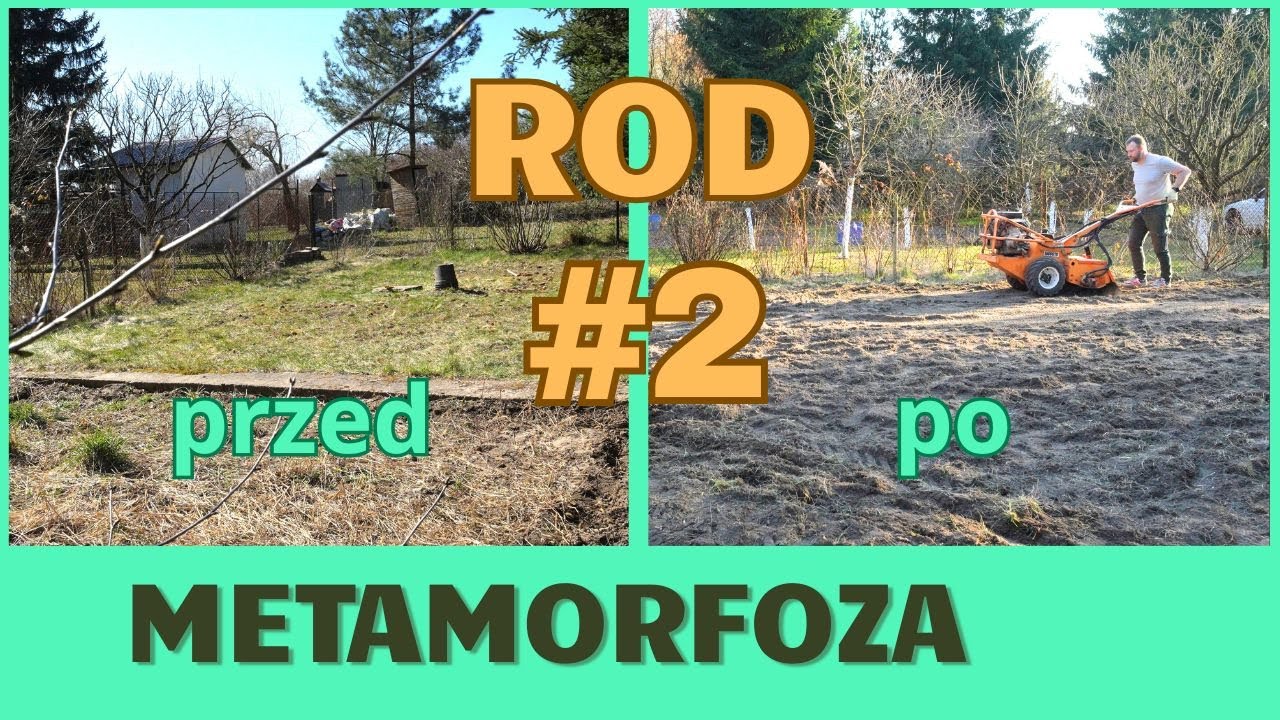 metamorfoza ROD cz. 2 - Nie sądziłem, że tyle betonu może zmieścić się na jednej działce…