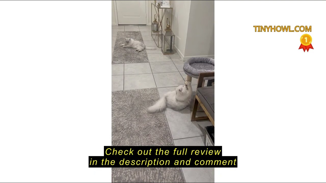 Review MECOOL 4in1 Small Cat Tree,Scratching Post with Tower Soft Bed, Sisal Carpet Jute Posts with