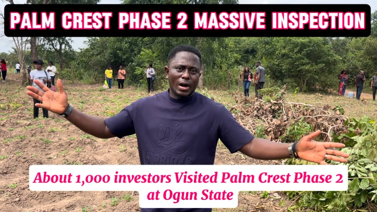 Touring Palm Crest Phase 2: Biggest Oil Palm Plantation In Ogun State