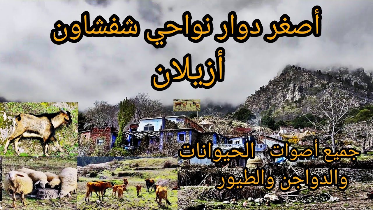 جولة في أصغر دوار وسط جبال شفشاون (أزيلان) للاستمتاع بجماليته