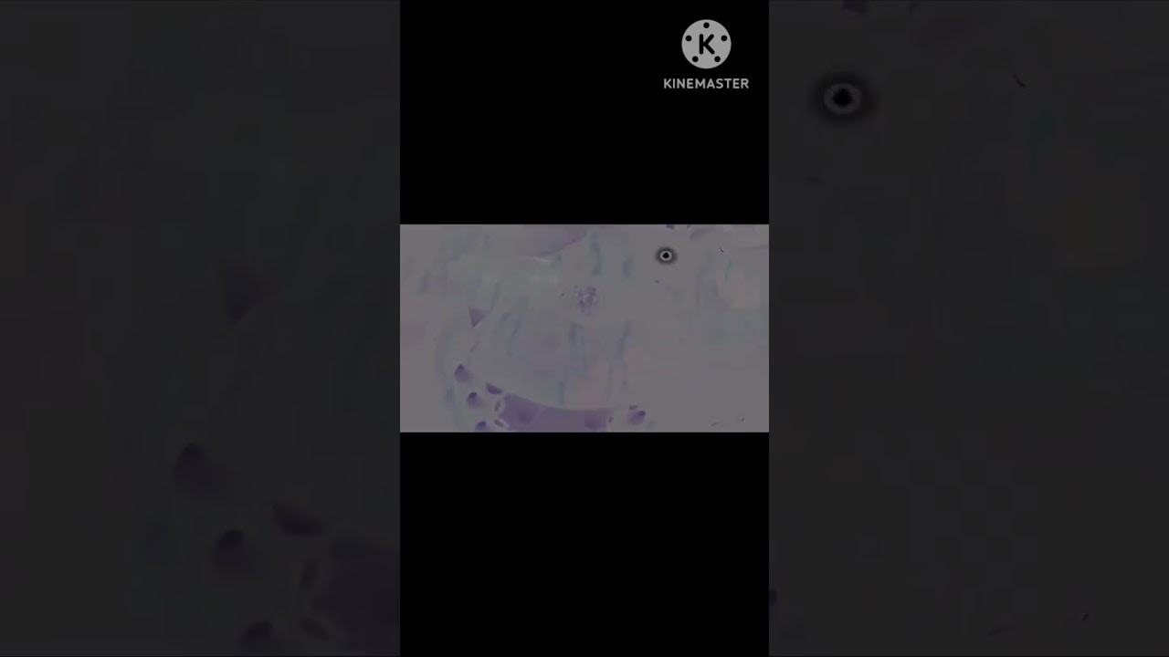 all of the phantom animatronics jumpscares