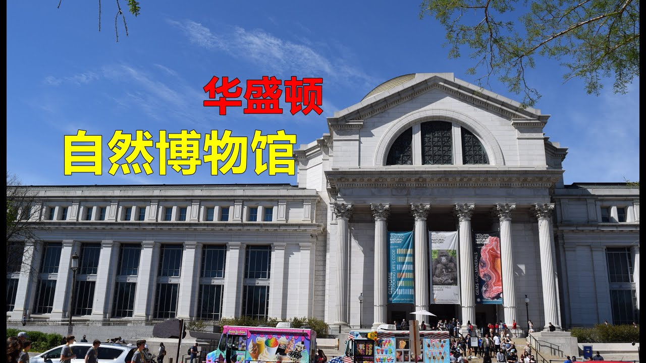 美国人旅游，原来最喜欢去博物馆。华盛顿自然历史博物馆
