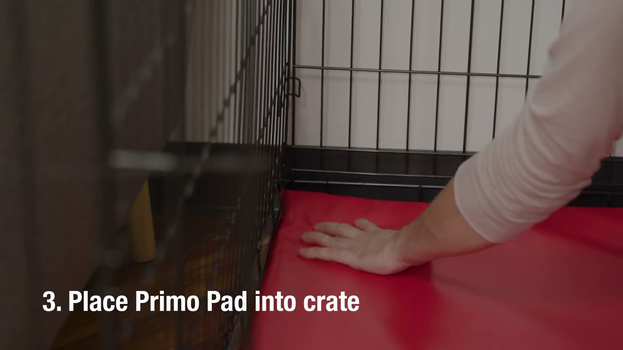 How to install lockdown system on your Primo Pad