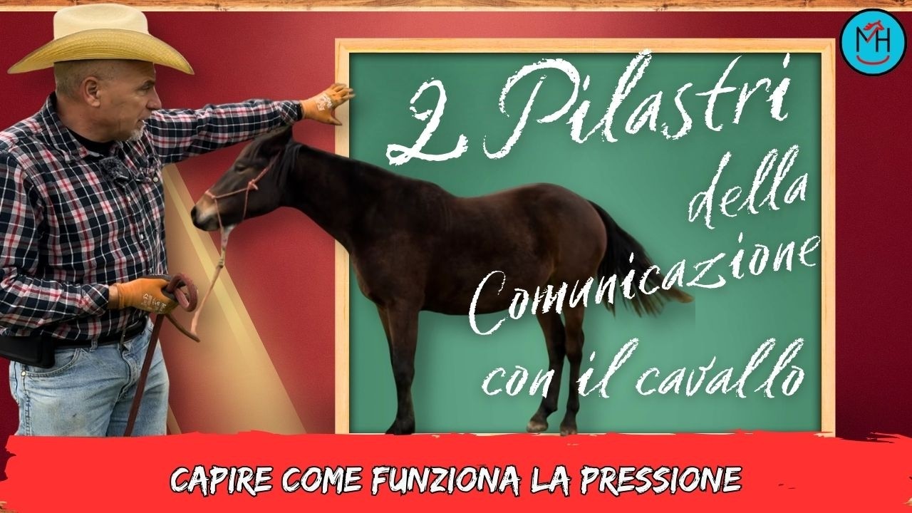 I 2 Pilastri della Comunicazione col cavallo